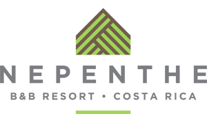  Hotel Nepenthe