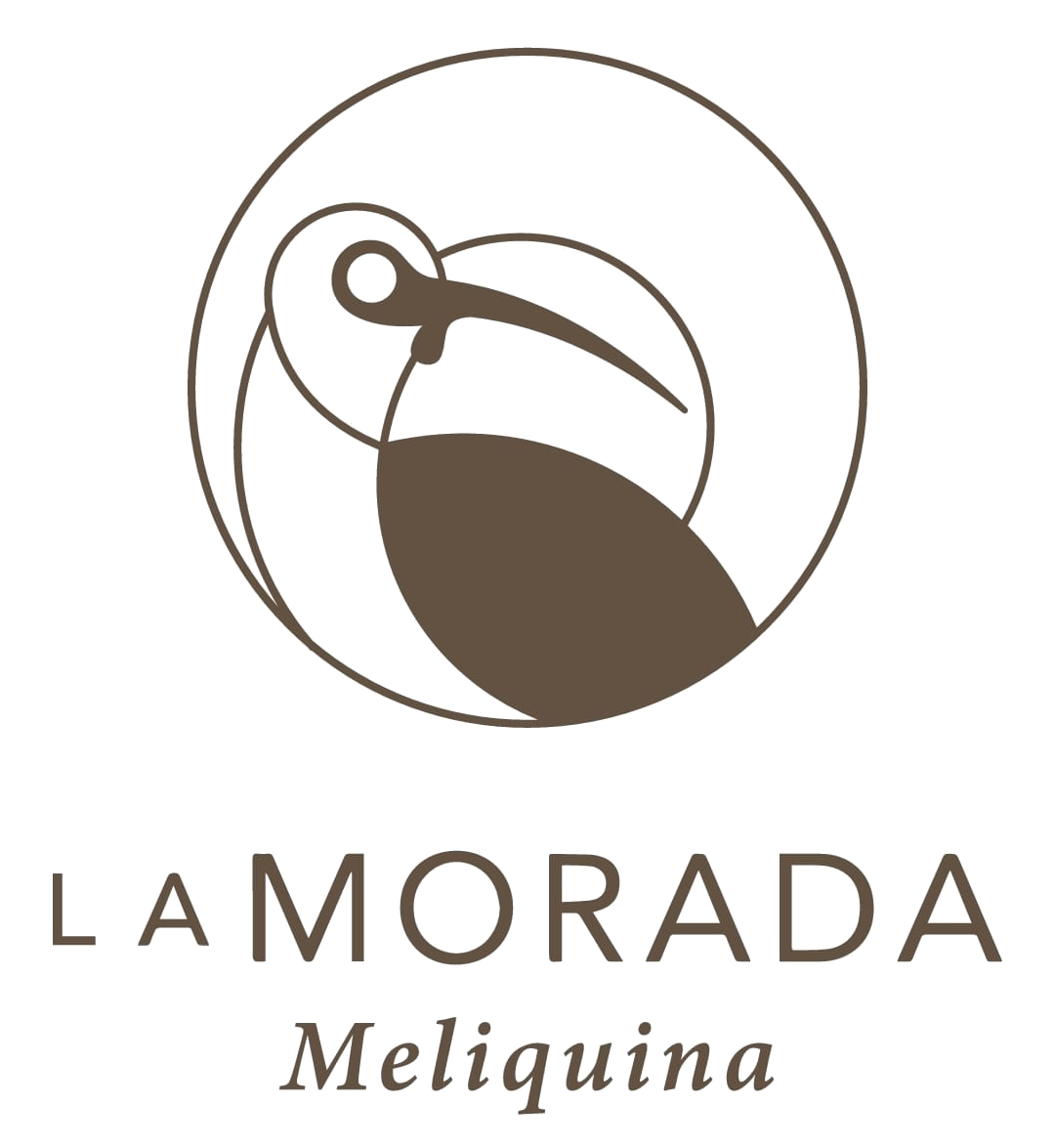 La Morada Lodge - Meliquina titleName