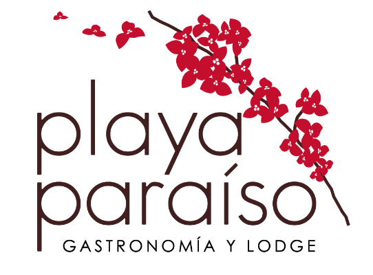Playa Paraíso Gastronomía & Lodge titleName